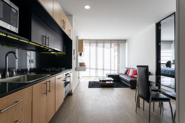 contemporary open plan kitchen and living area