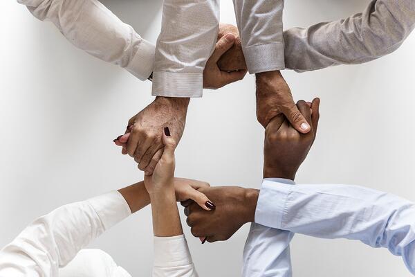 Management Team
