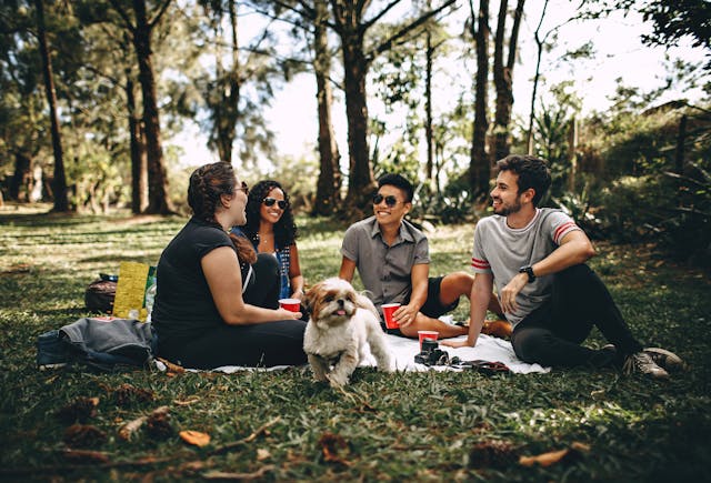 Group of people and a dog sitting outside on a blanket having a picnic