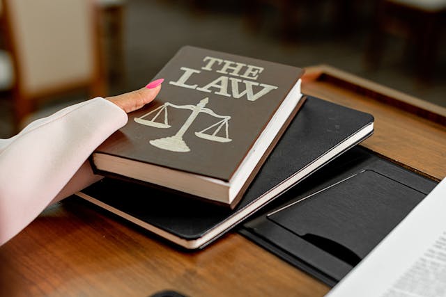 Person holding a book titled The Law