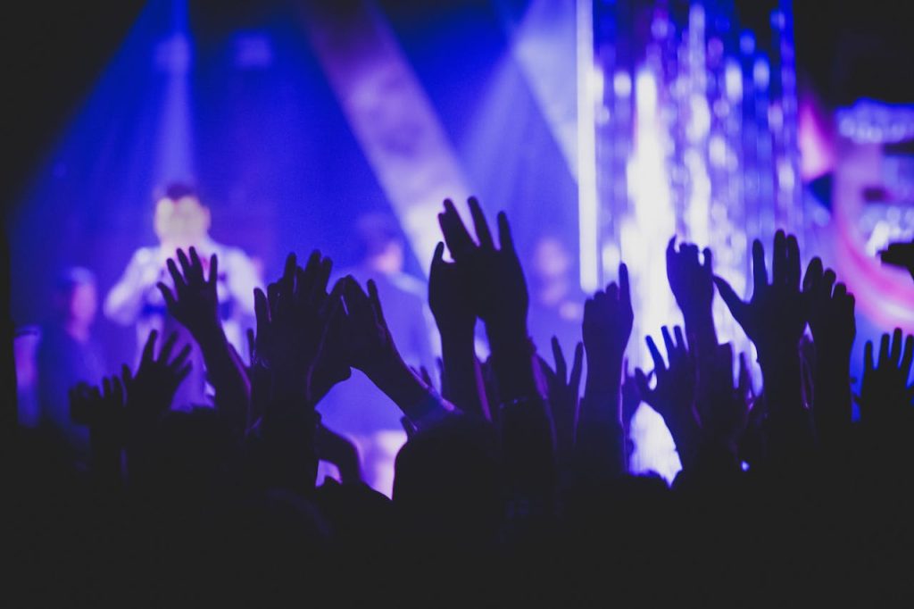 people at a music venue